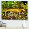 Buchcover Salamander und Molche (hochwertiger Premium Wandkalender 2024 DIN A2 quer), Kunstdruck in Hochglanz