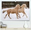 Buchcover Ponys in Aktion (hochwertiger Premium Wandkalender 2024 DIN A2 quer), Kunstdruck in Hochglanz