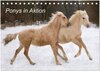 Buchcover Ponys in Aktion (Tischkalender 2024 DIN A5 quer), CALVENDO Monatskalender