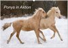 Buchcover Ponys in Aktion (Wandkalender 2024 DIN A2 quer), CALVENDO Monatskalender