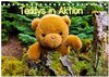 Buchcover Teddys in Aktion (Tischkalender 2024 DIN A5 quer), CALVENDO Monatskalender