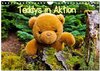 Buchcover Teddys in Aktion (Wandkalender 2024 DIN A4 quer), CALVENDO Monatskalender