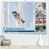 Buchcover Spatzen-Kalender (hochwertiger Premium Wandkalender 2024 DIN A2 quer), Kunstdruck in Hochglanz