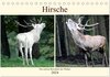 Buchcover Hirsche - Die stolzen Bewohner des Waldes (Tischkalender 2024 DIN A5 quer), CALVENDO Monatskalender