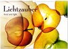 Buchcover Lichtzauber (Wandkalender 2024 DIN A3 quer), CALVENDO Monatskalender