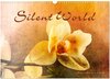 Buchcover Silent World (Wandkalender 2024 DIN A3 quer), CALVENDO Monatskalender