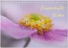 Buchcover Zauberhafte Blüten (Tischkalender 2024 DIN A5 quer), CALVENDO Monatskalender