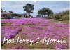 Buchcover Monterey California (Wandkalender 2024 DIN A3 quer), CALVENDO Monatskalender