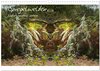 Buchcover Spiegelwelten - Natur anders sehen (Wandkalender 2024 DIN A3 quer), CALVENDO Monatskalender