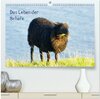 Buchcover Das Leben der Schafe (hochwertiger Premium Wandkalender 2024 DIN A2 quer), Kunstdruck in Hochglanz