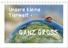 Buchcover Unsere kleine Tierwelt - GANZ GROSS (Tischkalender 2024 DIN A5 quer), CALVENDO Monatskalender