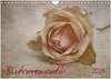 Buchcover Blütenromantik (Wandkalender 2024 DIN A4 quer), CALVENDO Monatskalender