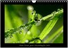 Buchcover Meine kleine grüne Wassertropfen Welt (Wandkalender 2024 DIN A4 quer), CALVENDO Monatskalender