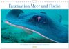 Buchcover Faszination Meer und Fische (Wandkalender 2024 DIN A4 quer), CALVENDO Monatskalender