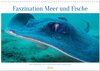 Buchcover Faszination Meer und Fische (Wandkalender 2024 DIN A3 quer), CALVENDO Monatskalender