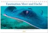 Buchcover Faszination Meer und Fische (Tischkalender 2024 DIN A5 quer), CALVENDO Monatskalender