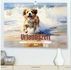 Buchcover Urlaubszeit an der malerischen Nordseeküste (hochwertiger Premium Wandkalender 2024 DIN A2 quer), Kunstdruck in Hochglan