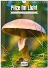 Buchcover Pilze im Licht (Wandkalender 2024 DIN A4 hoch), CALVENDO Monatskalender