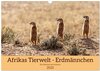 Buchcover Afrikas Tierwelt - Erdmännchen (Wandkalender 2025 DIN A3 quer), CALVENDO Monatskalender