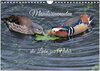 Buchcover Mandarinenenten, die Liebe zur Natur (Wandkalender 2025 DIN A4 quer), CALVENDO Monatskalender