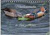 Buchcover Mandarinenenten, die Liebe zur Natur (Tischkalender 2025 DIN A5 quer), CALVENDO Monatskalender