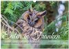 Buchcover Eulen in Franken (Wandkalender 2025 DIN A3 quer), CALVENDO Monatskalender