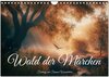 Buchcover Wald der Märchen (Wandkalender 2025 DIN A4 quer), CALVENDO Monatskalender