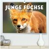 Buchcover Junge Füchse - Verspielte Neugierde. (hochwertiger Premium Wandkalender 2025 DIN A2 quer), Kunstdruck in Hochglanz