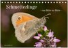 Buchcover Schmetterlinge - von Blüte zu Blüte - (Tischkalender 2025 DIN A5 quer), CALVENDO Monatskalender
