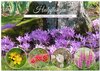 Buchcover Heilpflanzen - Schätze im Garten (Wandkalender 2025 DIN A2 quer), CALVENDO Monatskalender