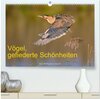 Buchcover Vögel, Gefiederte Schönheiten (hochwertiger Premium Wandkalender 2025 DIN A2 quer), Kunstdruck in Hochglanz