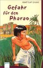 Buchcover Gefahr für den Pharao