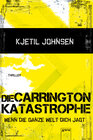 Buchcover Die Carringtonkatastrophe