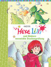 Buchcover Hexe Lilli und Hektors verzwickte Drachenprüfung