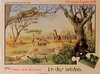 Buchcover Meine Welt der Tiere / In der Wildnis