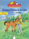 Buchcover Kleines Fohlen in Gefahr