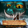 Buchcover Drachenzähmen leicht gemacht (2). Wilde Piraten voraus!