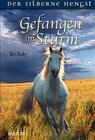 Buchcover Gefangen im Sturm