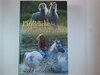 Buchcover Pferdeliebe - Sommerträum