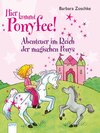 Buchcover Abenteuer im Reich der magischen Ponys