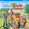 Buchcover Ponyclub Löwenzahn (2). Ein Fohlen zum Geburtstag