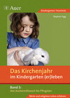 Buchcover Das Kirchenjahr im Kindergarten (er)leben, Band 3
