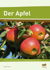 Buchcover Der Apfel