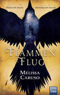 Buchcover Flammenflug