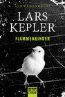 Buchcover Flammenkinder