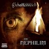 Buchcover Schattenreich - Folge 1