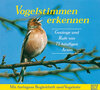 Buchcover Vogelstimmen erkennen