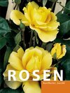 Buchcover Rosen