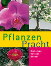 Buchcover Pflanzenpracht. Orchideen · Kakteen · Bonsai