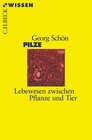 Buchcover Pilze